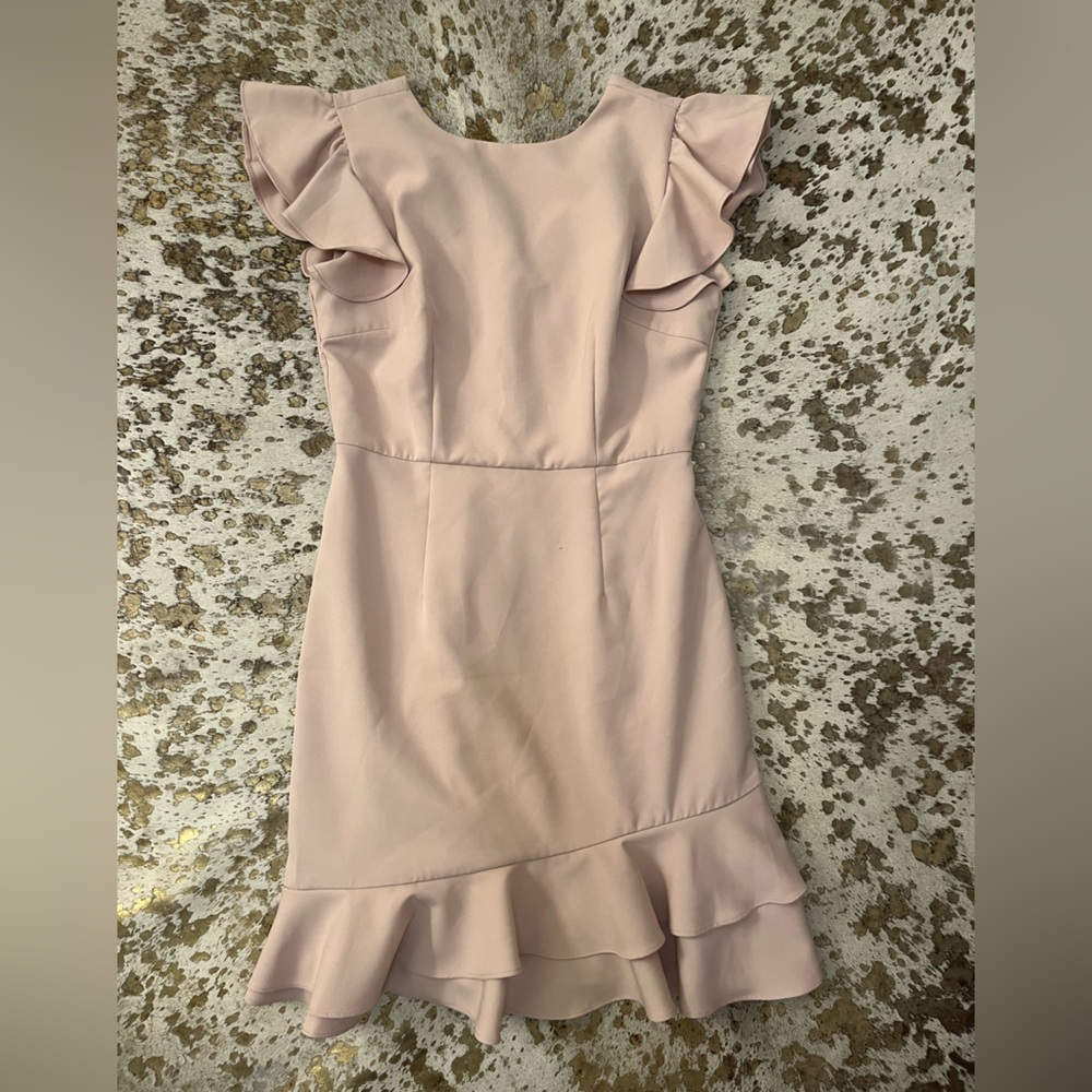 TCEC Blush Ruffle Sleeve Mini Dress